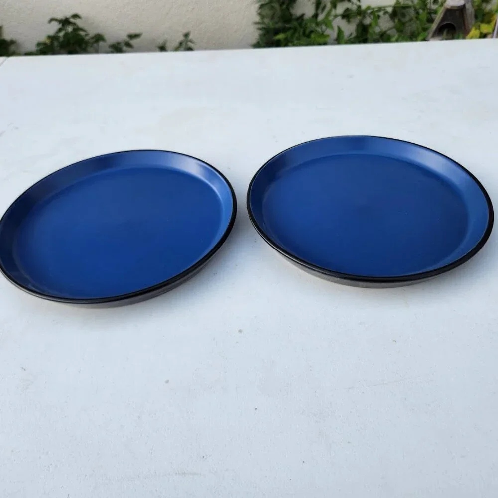 NEW Set of 2 Stone Lain Stoneware Plates 7.5